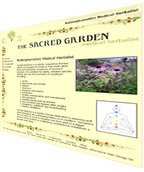 Nottinghamshire Herbalist